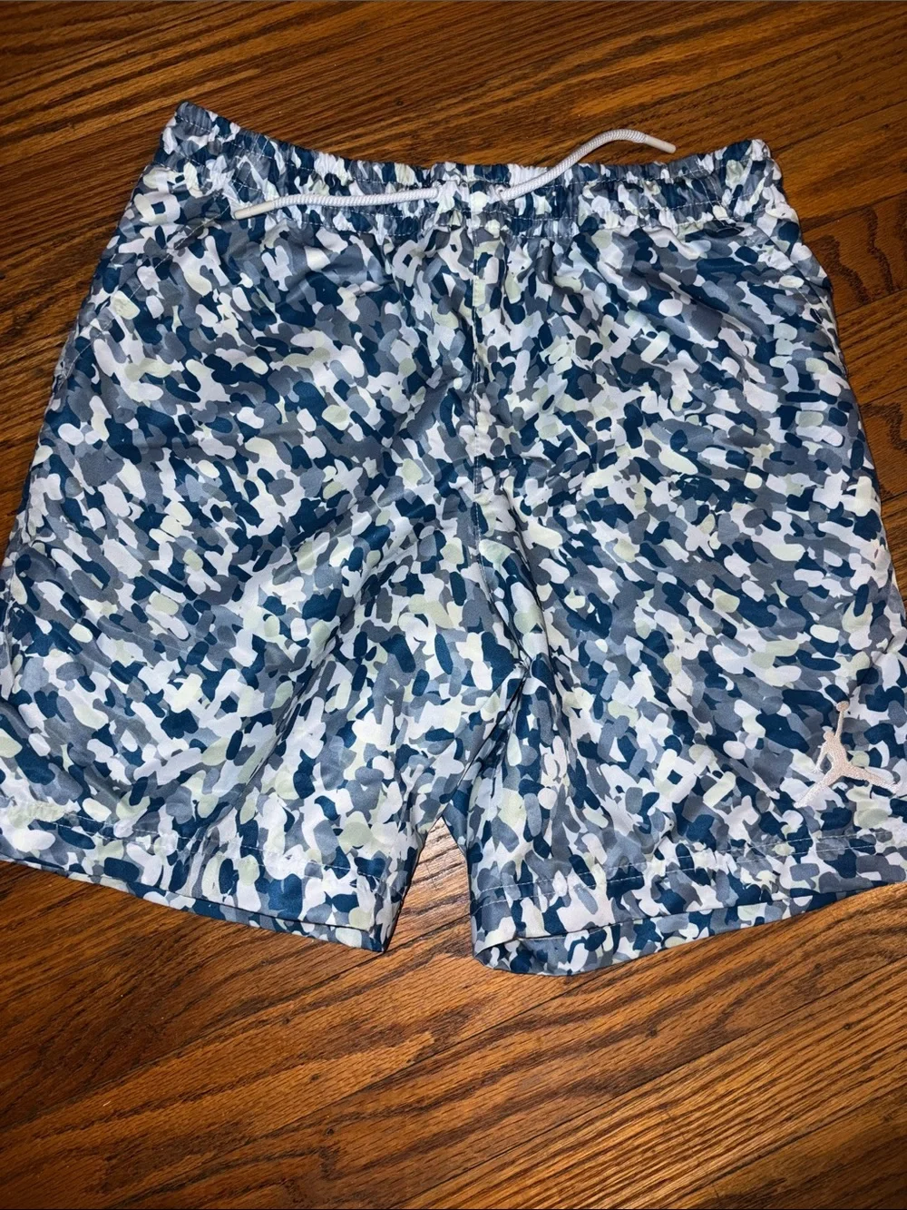Jordan Men's Blue & White Swim Trunks